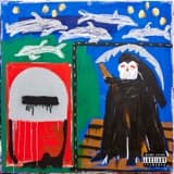 The album art for "Only For Dolphins" by Action Bronson