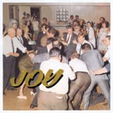 The album art for "Joy as an Act of Resistance." by IDLES