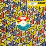The album art for "Butterfly 3001" by King Gizzard & The Lizard Wizard, DJ Shadow
